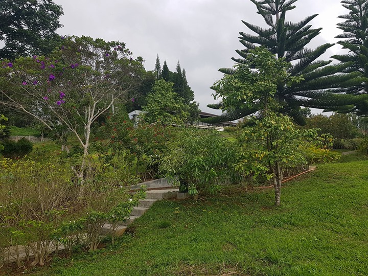 1526824277 750 Eden Ridge Toril Davao City Lot Area 550sqm Selling at 8K - Davao Property Solutions