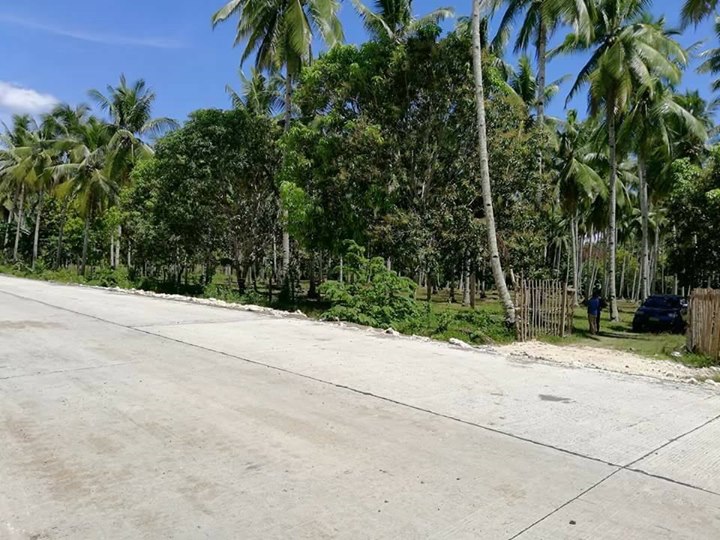 1526824975 29 Promising property in Samal located at Babak. Next to Secdea - Davao Property Solutions