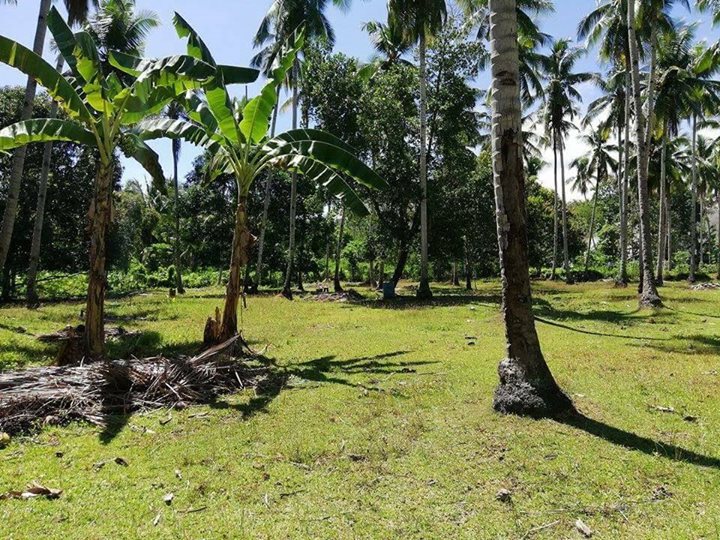 1526824976 327 Promising property in Samal located at Babak. Next to Secdea - Davao Property Solutions