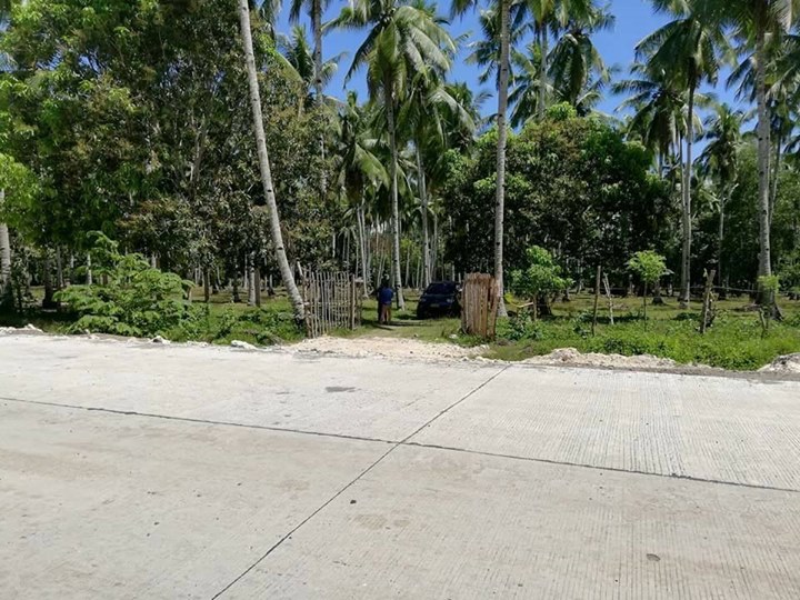 1526824976 355 Promising property in Samal located at Babak. Next to Secdea - Davao Property Solutions