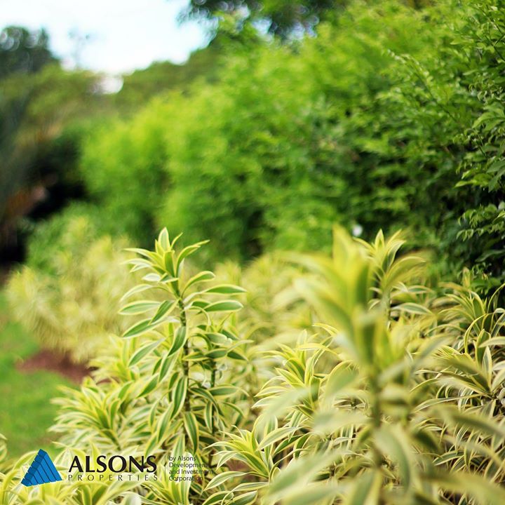 1526832832 125 Well known for its lush green spaces an Alsons Properties c - Davao Property Solutions