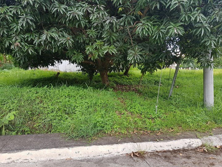 1526862670 218 Residential Lot for Sale in Robinsons Highlands Buhangin Dav - Davao Property Solutions