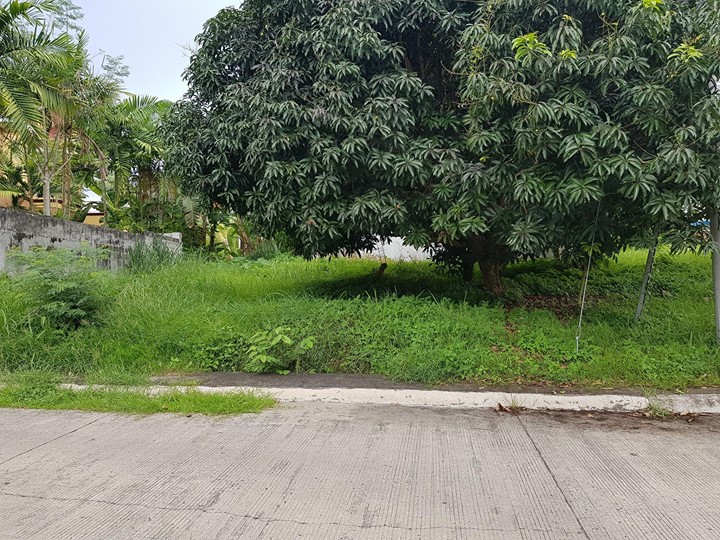 1526862670 302 Residential Lot for Sale in Robinsons Highlands Buhangin Dav - Davao Property Solutions