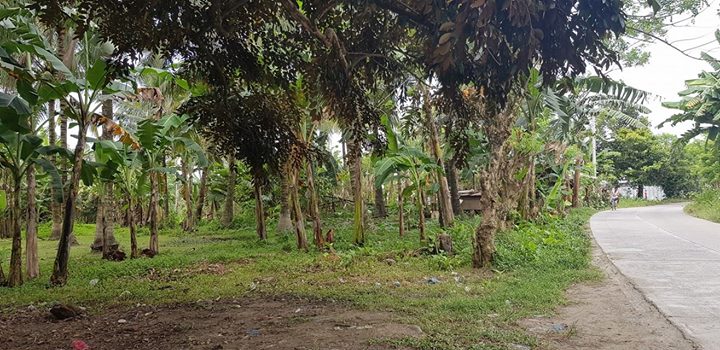 1526985671 787 1780 square meters Vacant Lot for Sale in Lasang Bunawan Dis - Davao Property Solutions