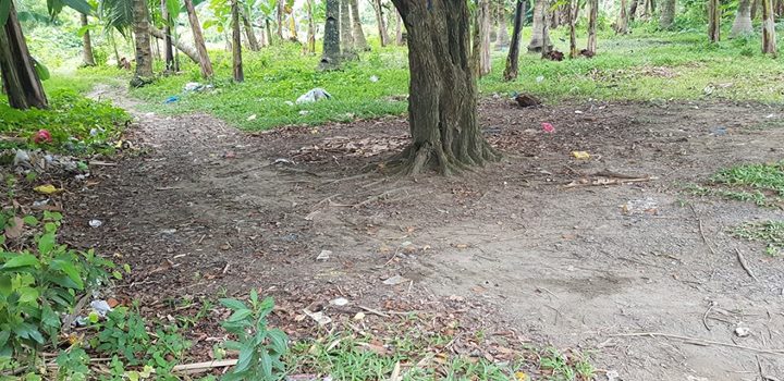 1526985672 545 1780 square meters Vacant Lot for Sale in Lasang Bunawan Dis - Davao Property Solutions