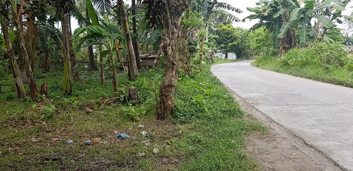 1780 square meters Vacant Lot for Sale in Lasang Bunawan Dis - Davao Property Solutions