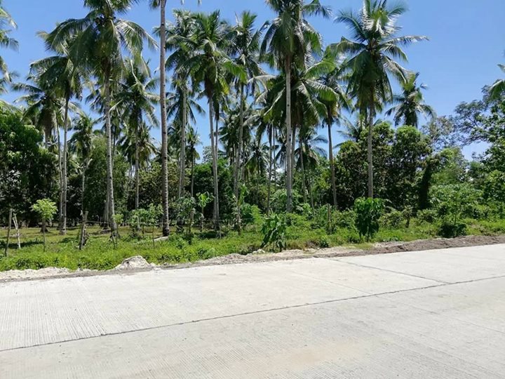 Promising property in Samal located at Babak. Next to Secdea - Davao Property Solutions