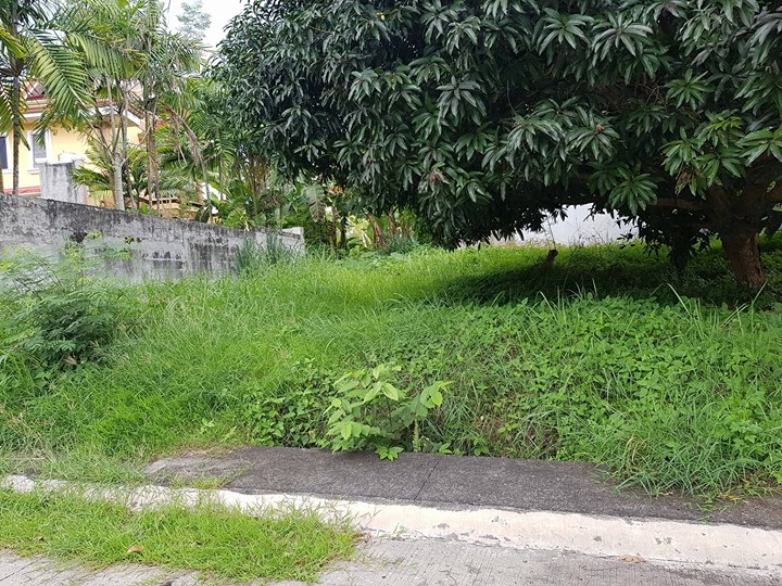 Residential Lot for Sale in Robinsons Highlands Buhangin Dav - Davao Property Solutions