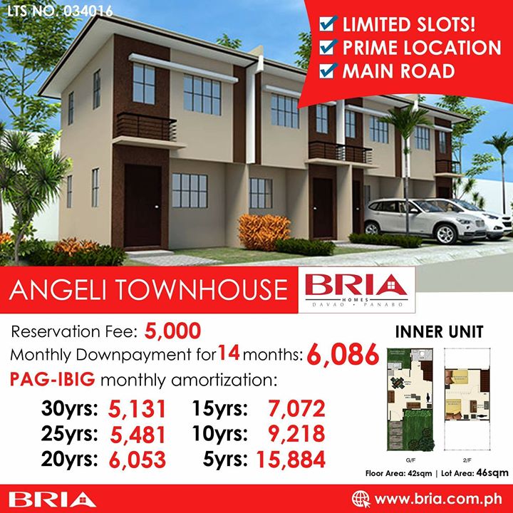 BRIA HOMES PANABO CITY DUE TO INSISTENT DEMAND LIMITED - Davao Property Solutions