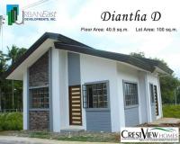 diantha D - Davao Property Solutions