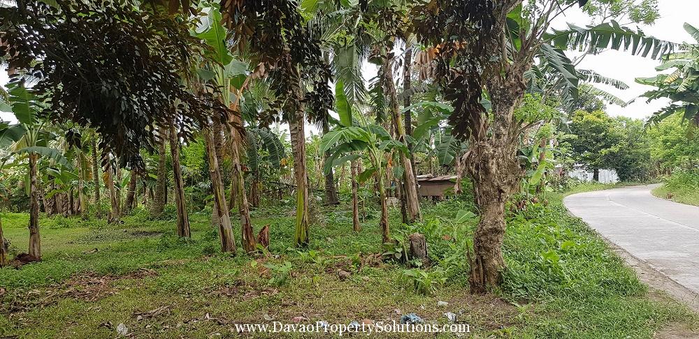 1785sqm Vacant Lot for Sale Davao City