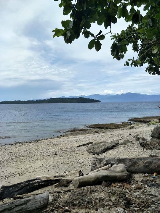 Who wants Samal Beach Front? 2,000 square meters at Tagpupun...