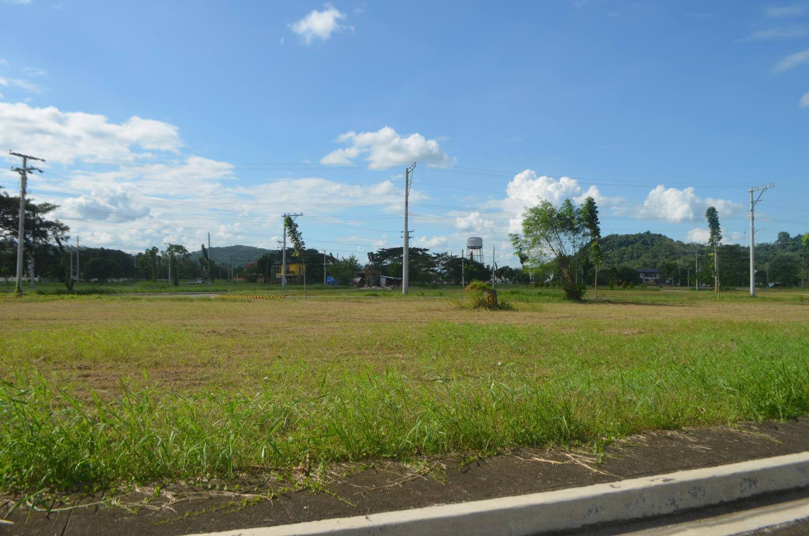 Residential Lot for Sale at Las Palmas Verdes Mandug, Buhang...