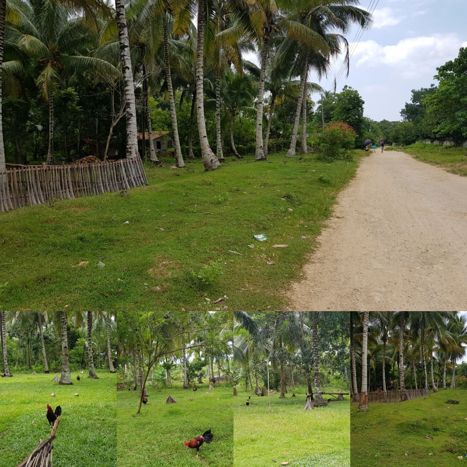 RAW LOTS 100sqm for Installment
 Very accessible just along ...