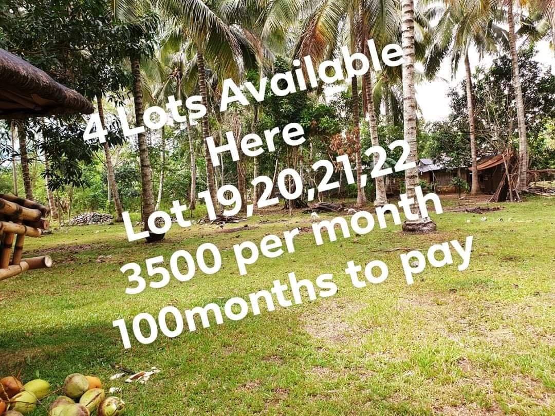 AVAILABLE Lots for Installment in Samal, Sto Nino Babak IGAC...