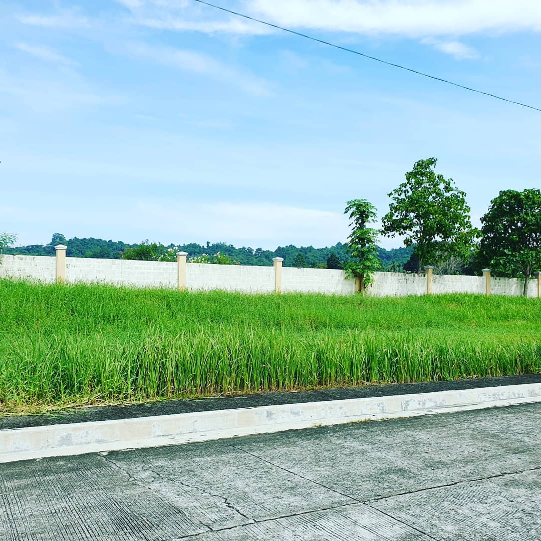 Lot for Sale at Las Palmas, Buhangin District Davao City
 Al...