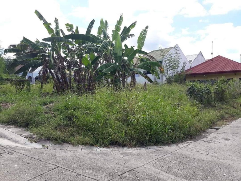 Residential Lot for Sale
 Cecelia Heights Cabantian Buhangin...