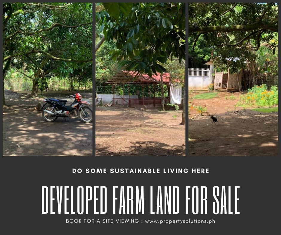 1.4 Hectare Farm for Sale in Toril Davao City
 Developed Far...