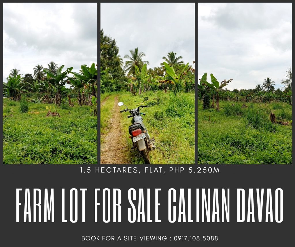 COOL PLACE #FarmLot For Sale
 Tamayong Calinan Davao City
 1...