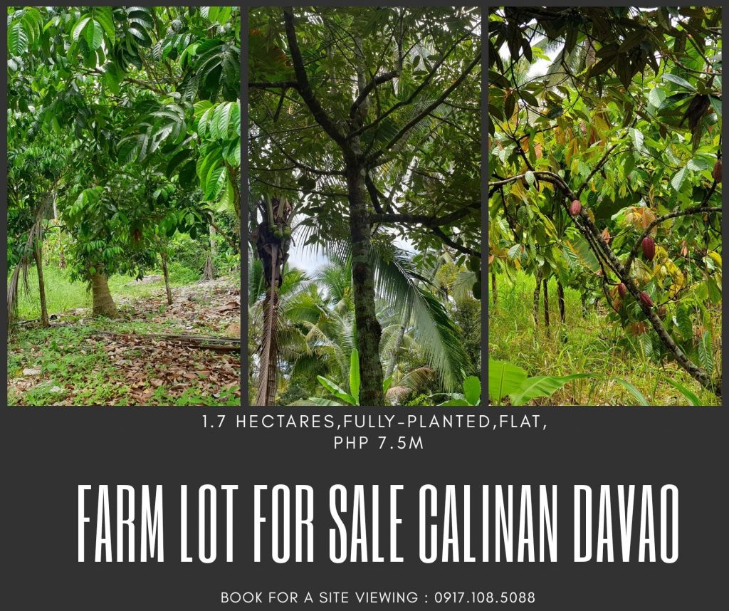 Fully Planted #FarmLot for Sale in Wangan Calinan Davao City...