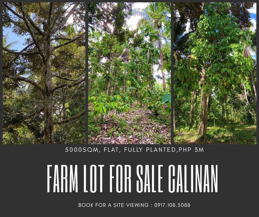 Farm Lot For Sale Calinan Davao City Fully Planted Lot Ar... | Davao ...