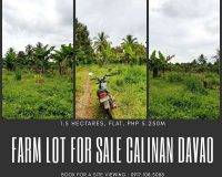 1.5 hectares farm lot - Davao Property Solutions