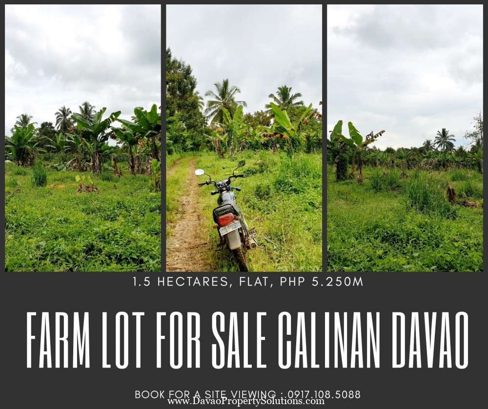 Agricultural Land Davao Property Solutions