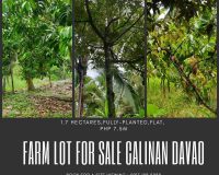 1.7hectares FARM LOT 7.5M - Davao Property Solutions