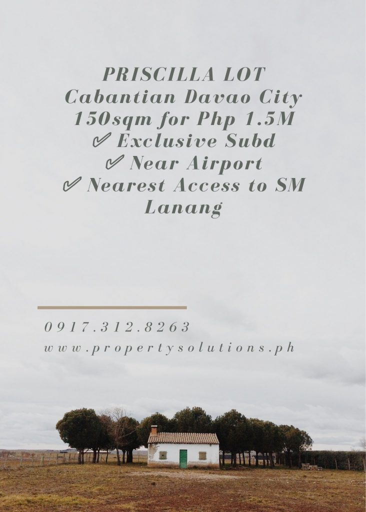 PRISCILLA Estates Subdivision Lot For Sale
 Cabantian Davao ...