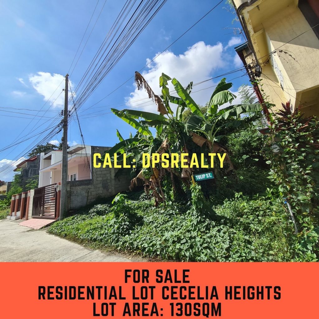 RESIDENTIAL LOT FOR SALE 
 #CeceliaHeights 1, Cabantian Dava...