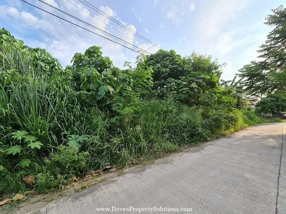 1766sqm Lot for Sale in Juna Subdivision Matina Crossing Davao City