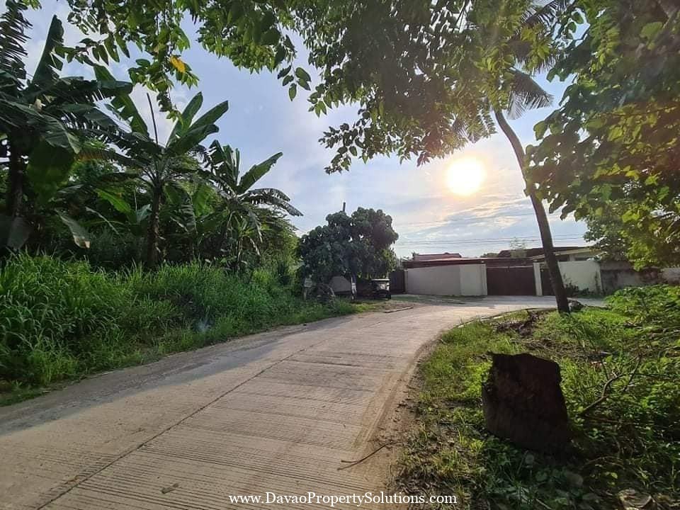 1766sqm Lot for Sale in Juna Subdivision Matina Crossing Davao City ...