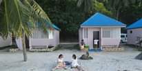 May be an image of 4 people, palm trees and beach