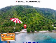 Buy the Perfect Beachfront Property in Samal Island Davao Del Norte | 2Hectares 90meters frontage