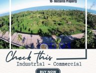 Industrial and Commercial Property for Sale in Sta. Cruz Davao Del Sur