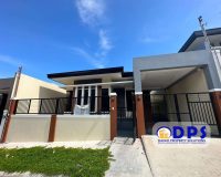 1.1 - Davao Property Solutions