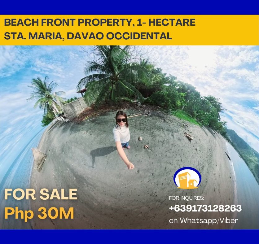 For Sale Beachfront Sta. Maria - Davao Property Solutions