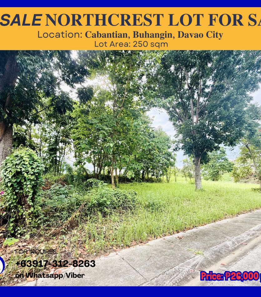 Home 3 DPS250101 250sqm NORTHCREST LOT - Davao Property Solutions