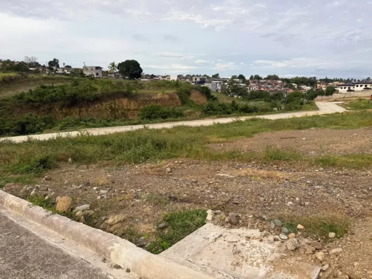 Site Development