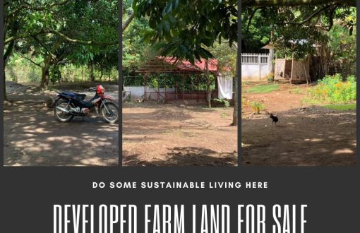 1.4 Hectare Farm for Sale in Toril Davao City
 Developed Far...