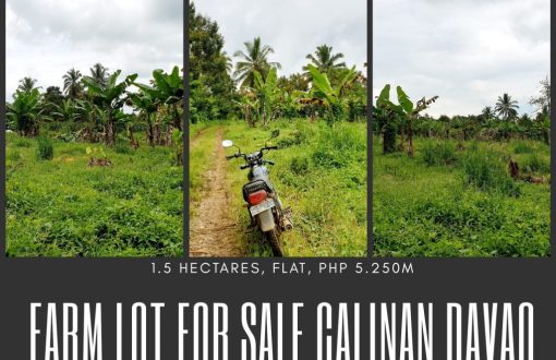 Farm Lot For Sale
 Tamayong Calinan Davao City
 1.5 Hectares...