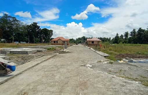 Site development of La eldaria 
 Panabo City 
 As of July 7,...