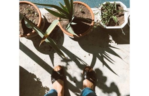 Plants and Sunshine.
 How do you start your day?
 Good Morni...