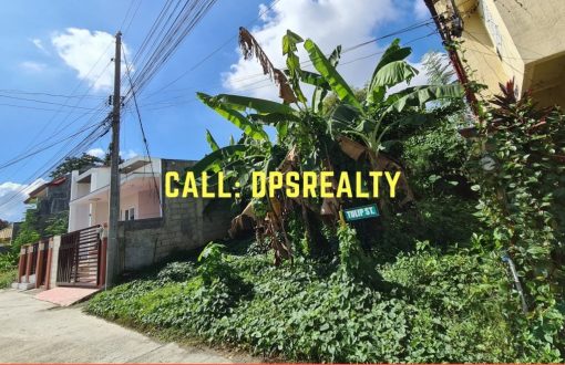 RESIDENTIAL LOT FOR SALE 
 #CeceliaHeights 1, Cabantian Dava...