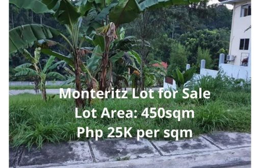 Residential Lot in Monteritz Classic Estates
 #lotforsaleph ...