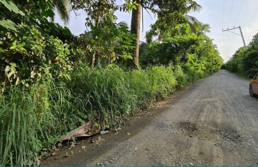 Rush Sale Agricultural Land 
 Kauswagan, Panabo City Davao d...