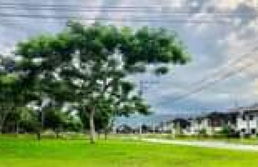 Ist möglicherweise ein Bild von Wolken, Gras, Baum und Straße