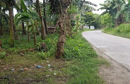 1780 square meters Vacant Lot for Sale in Lasang Bunawan Dis...