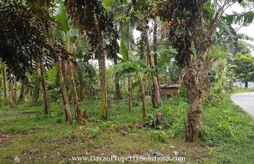 1785sqm Vacant Lot for Sale Davao City