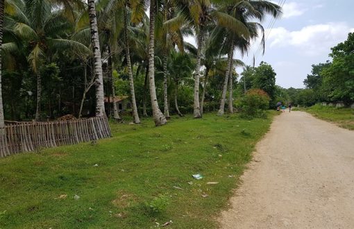 Wow!!! Super ganda! Its along the Barangay Road of Sto.Nino ...